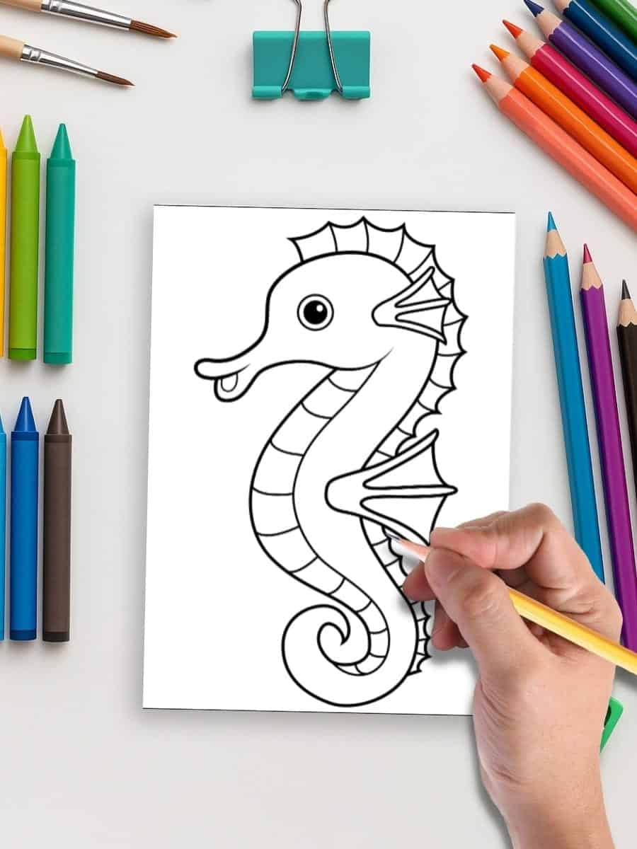 Seahorse coloring page for preschoolers, educational activity for early childhood learning.